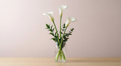 Elegant Lilies Collection